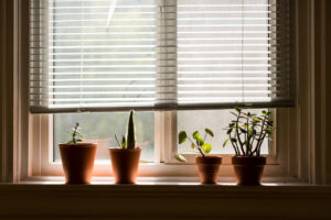 Blinds Installation Near Me in Guelph